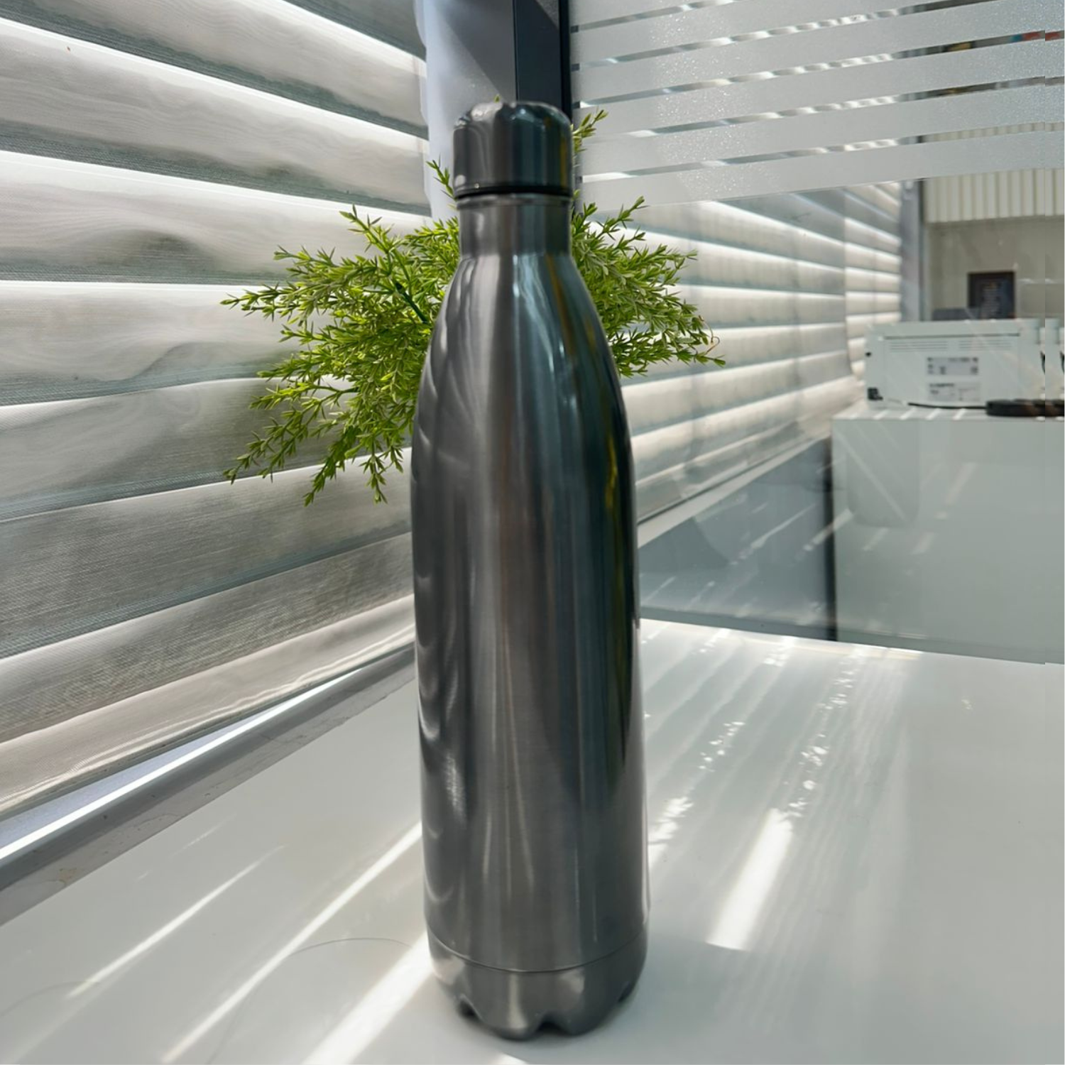 Stainless Steel Water Bottle
